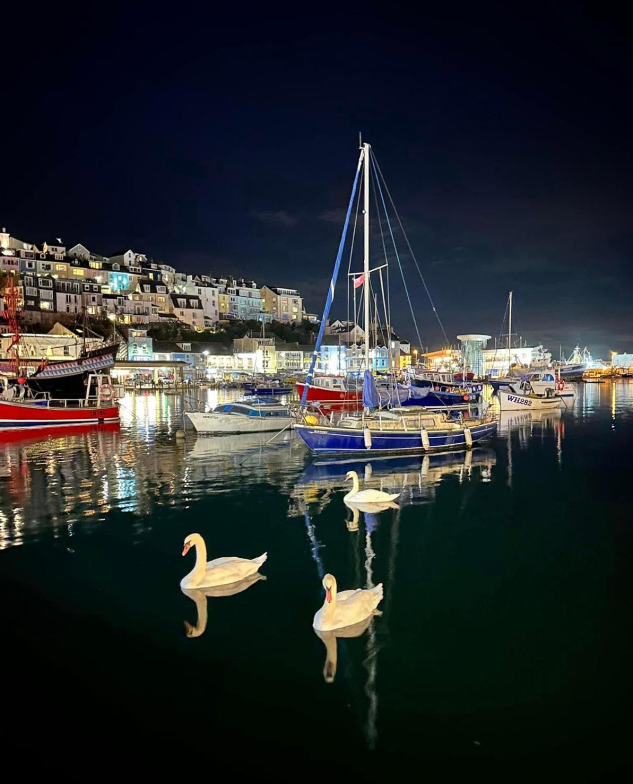 Hortus House - Regency Style Apartment With Attached Parking Brixham Eksteriør bilde